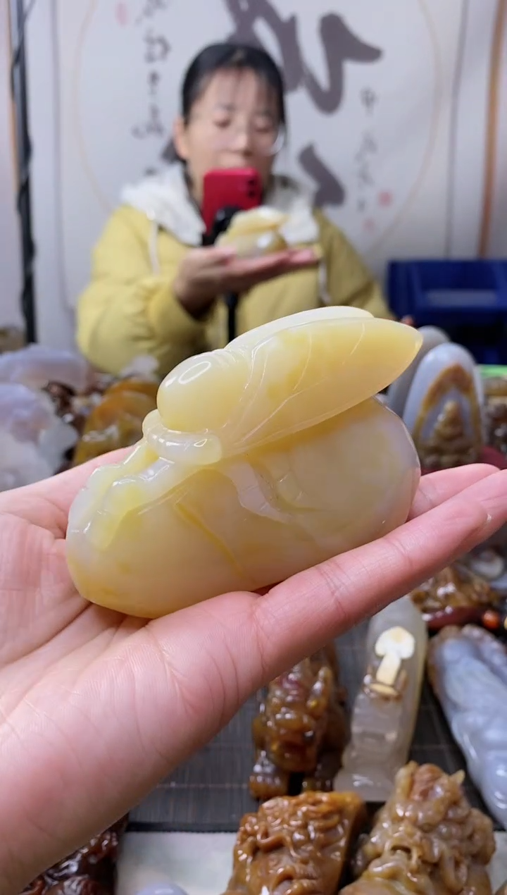 【闪购商品】玛瑙/玉髓颈饰未镶嵌0