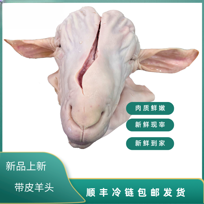 -/竟瑄羊头带皮带耳朵发货农户散养山羊红烧烧烤新鲜现宰带皮山羊