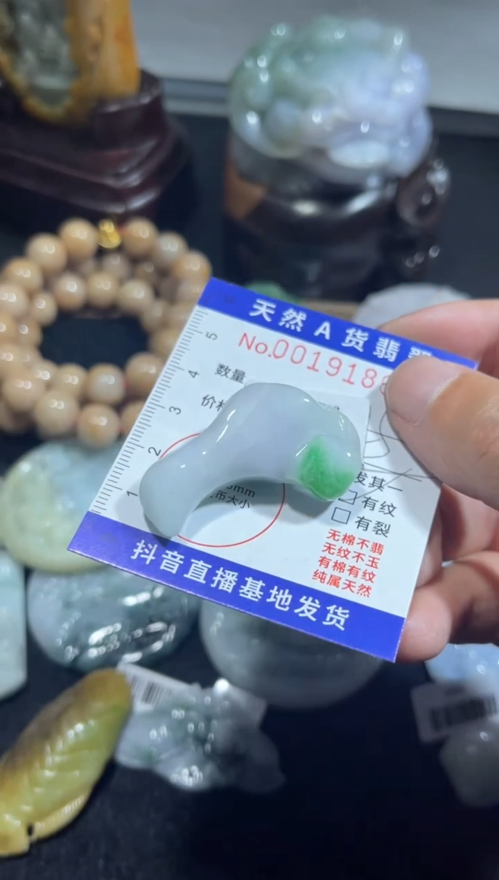 【闪购商品】翡翠颈饰未镶嵌00019186