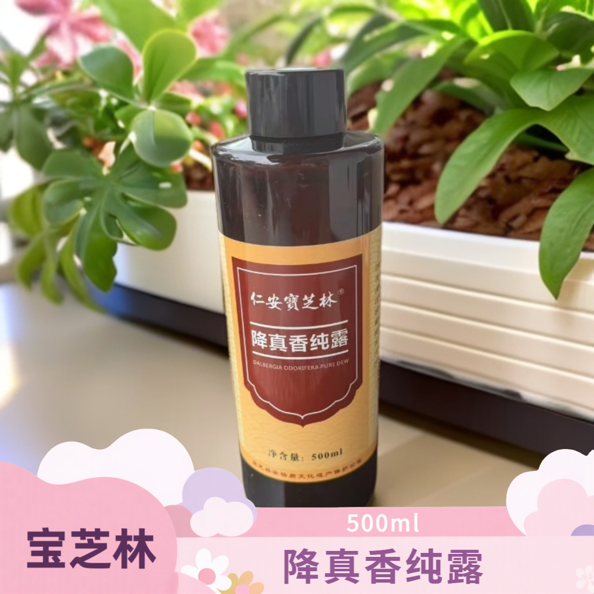 仁安宝芝林降真香纯露500mL+纳米喷雾仪+喷瓶+鼻喷