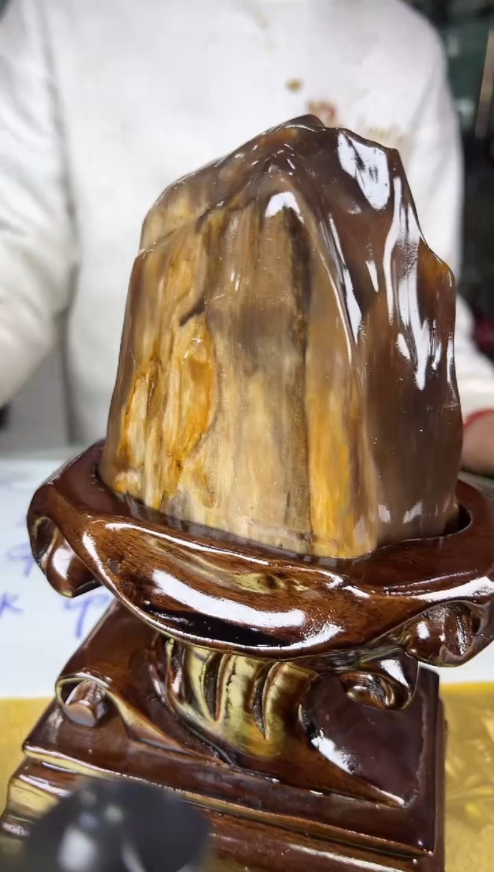 未镶嵌珠宝奇石硅化玉缅甸天然树化玉精品摆件