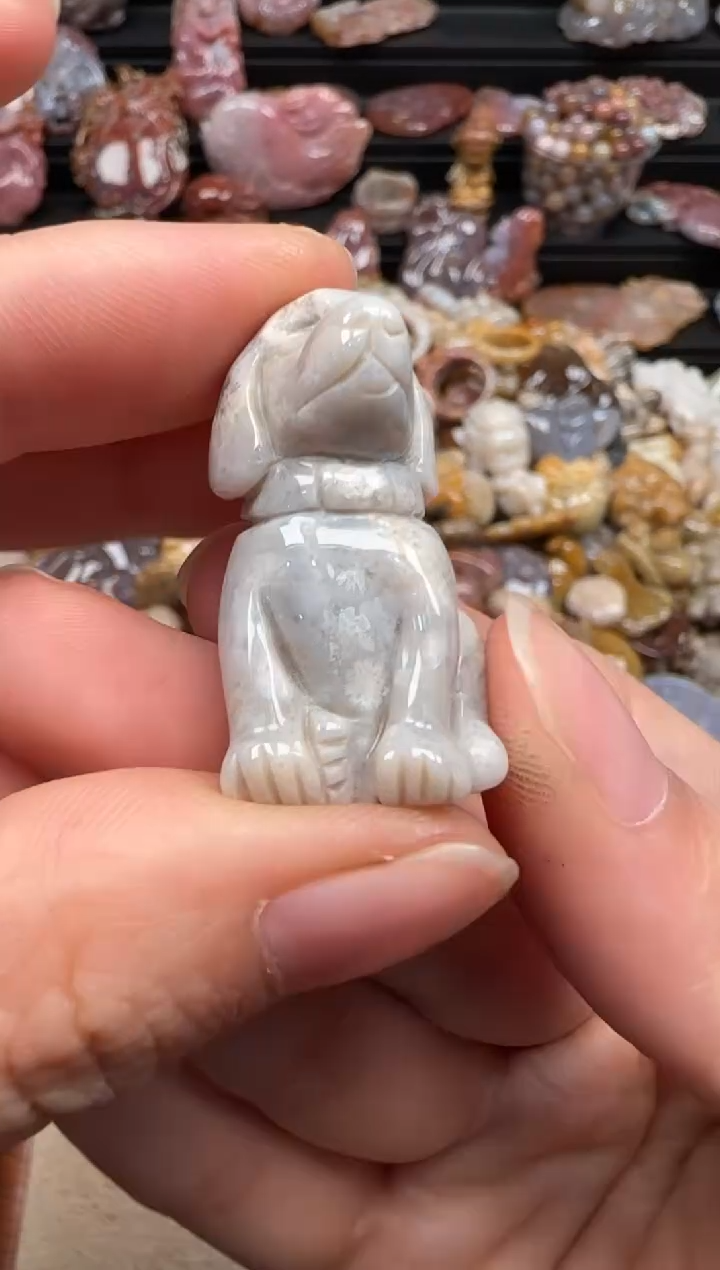 【闪购商品】硅化珊瑚（珊瑚玉）颈饰未镶嵌691
