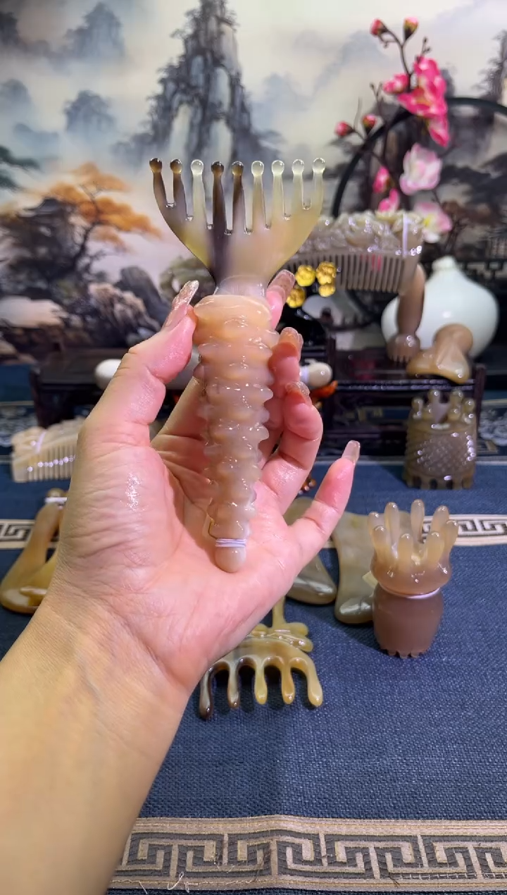 云南老白水海参水滴耙子