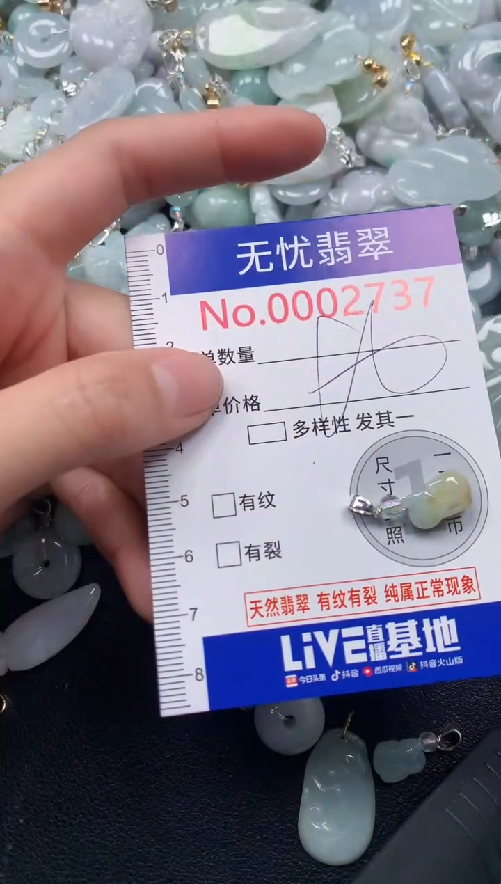 颈饰未镶嵌翡翠2737