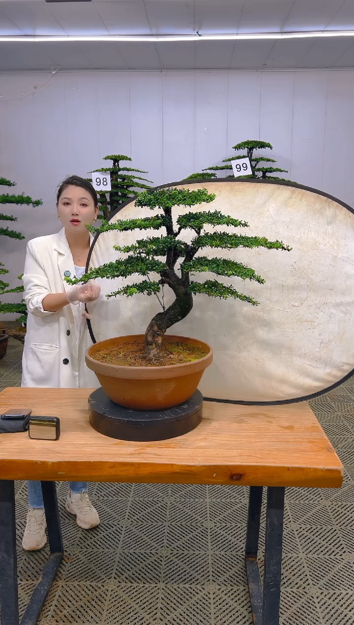 无花朵一物一拍一物一拍