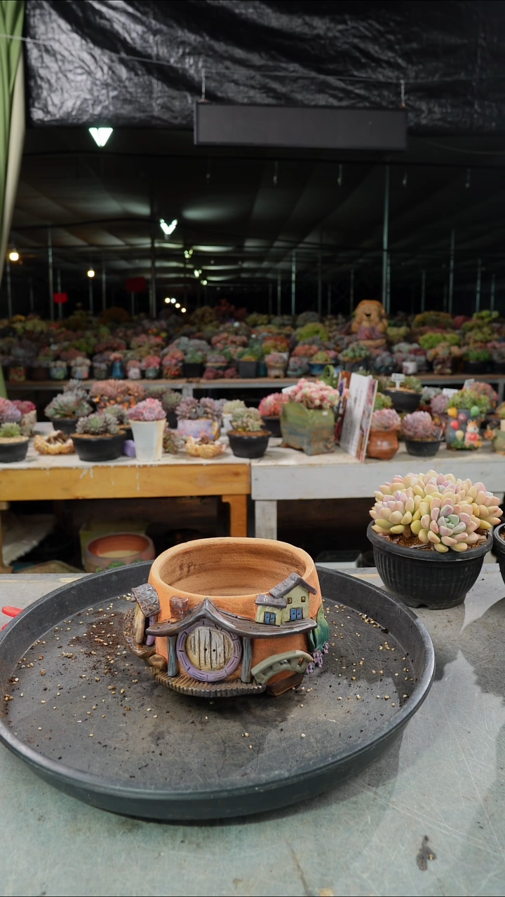 时**瘦时间          盆