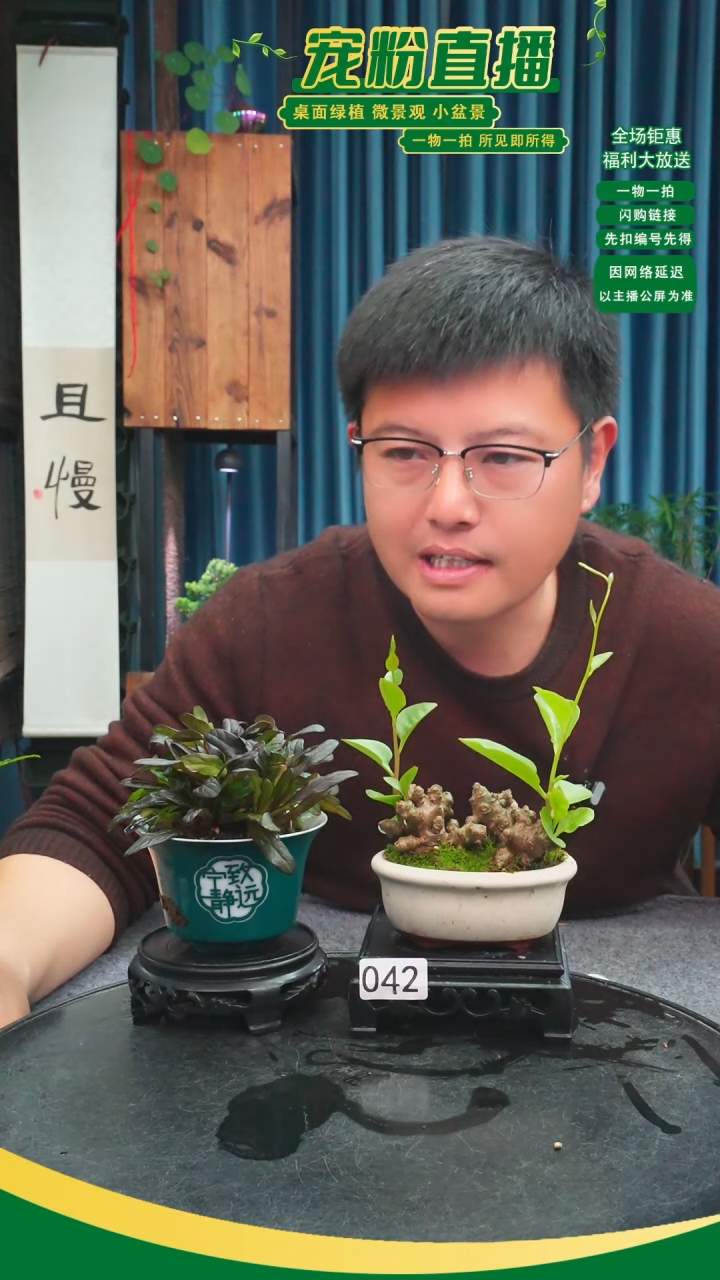 无花朵7**6苔藓微景观042号