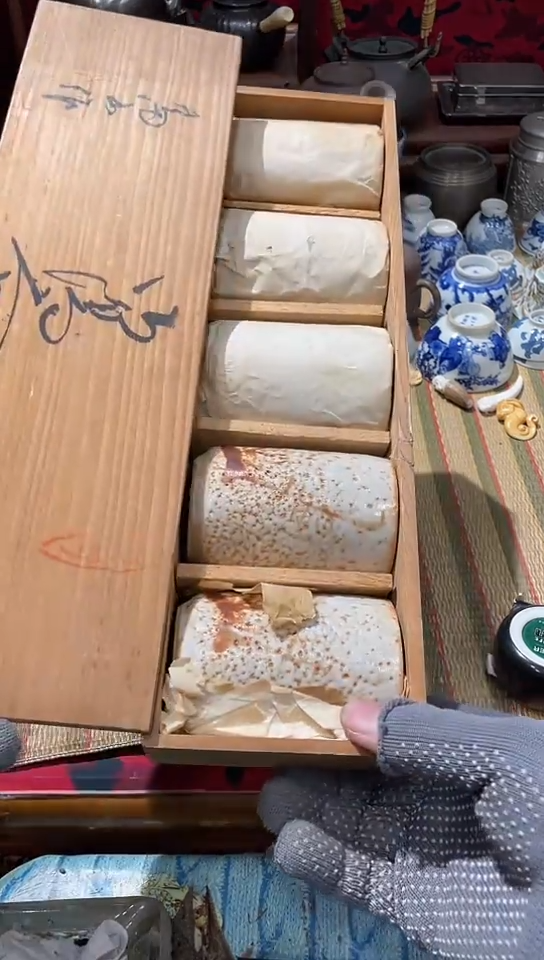 发发发发发发发发发