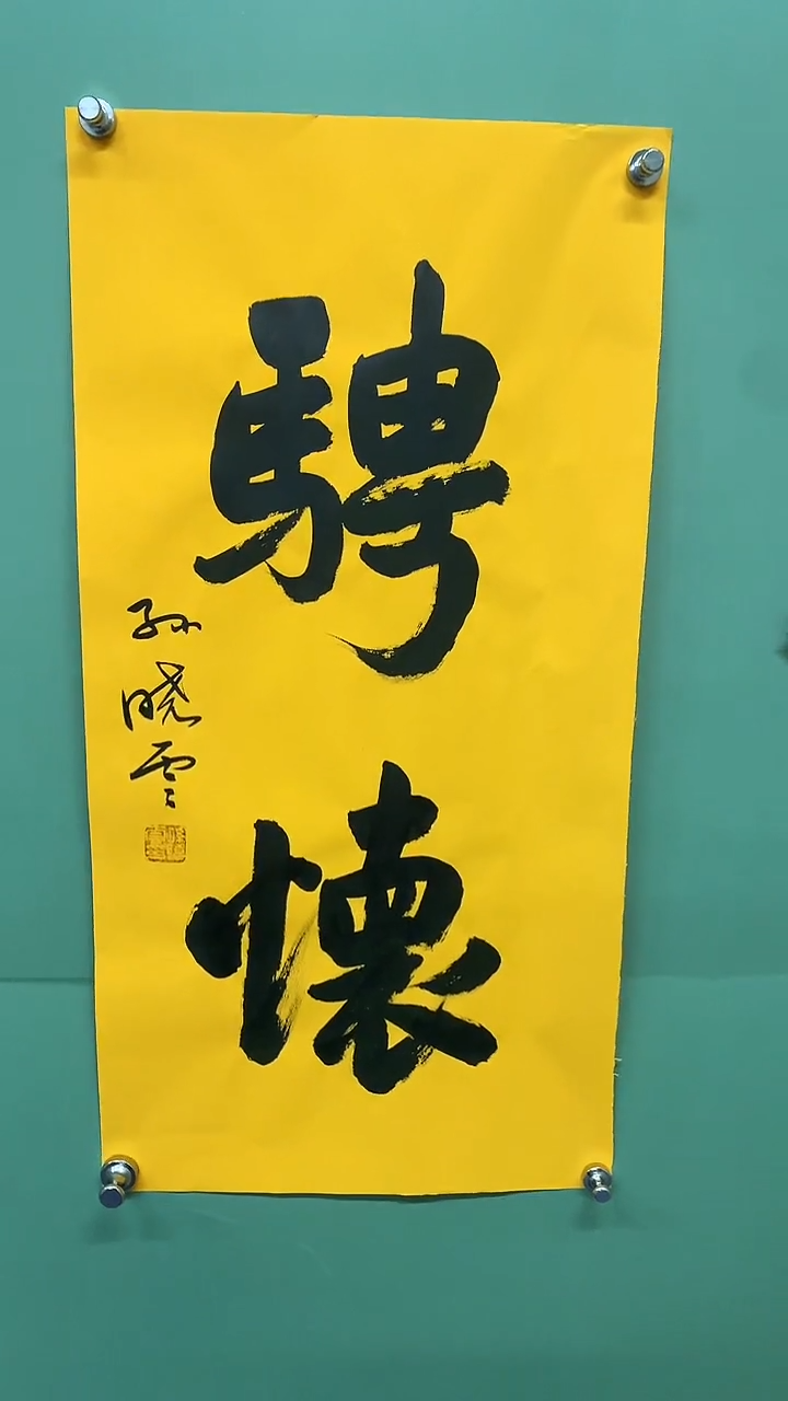 竖款精品书法，骋怀
