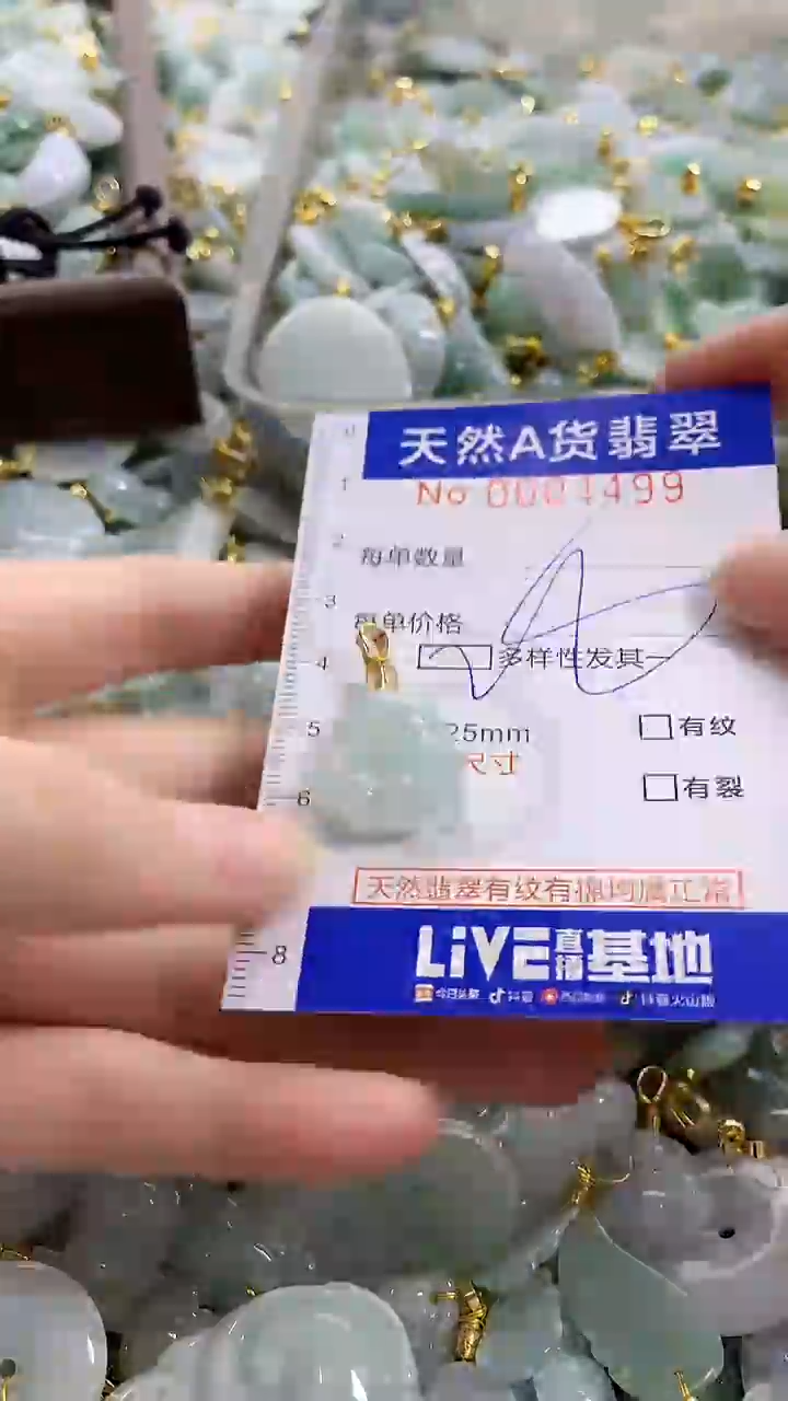 颈饰未镶嵌翡翠天然A货翡翠