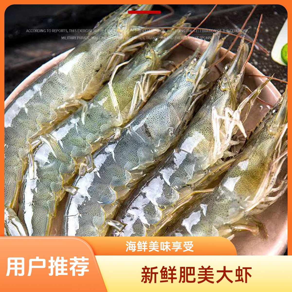 海捕大虾2030活虾速冻4大斤，单只13-16cm左右，50-55只左右，顺丰包邮    二帅
