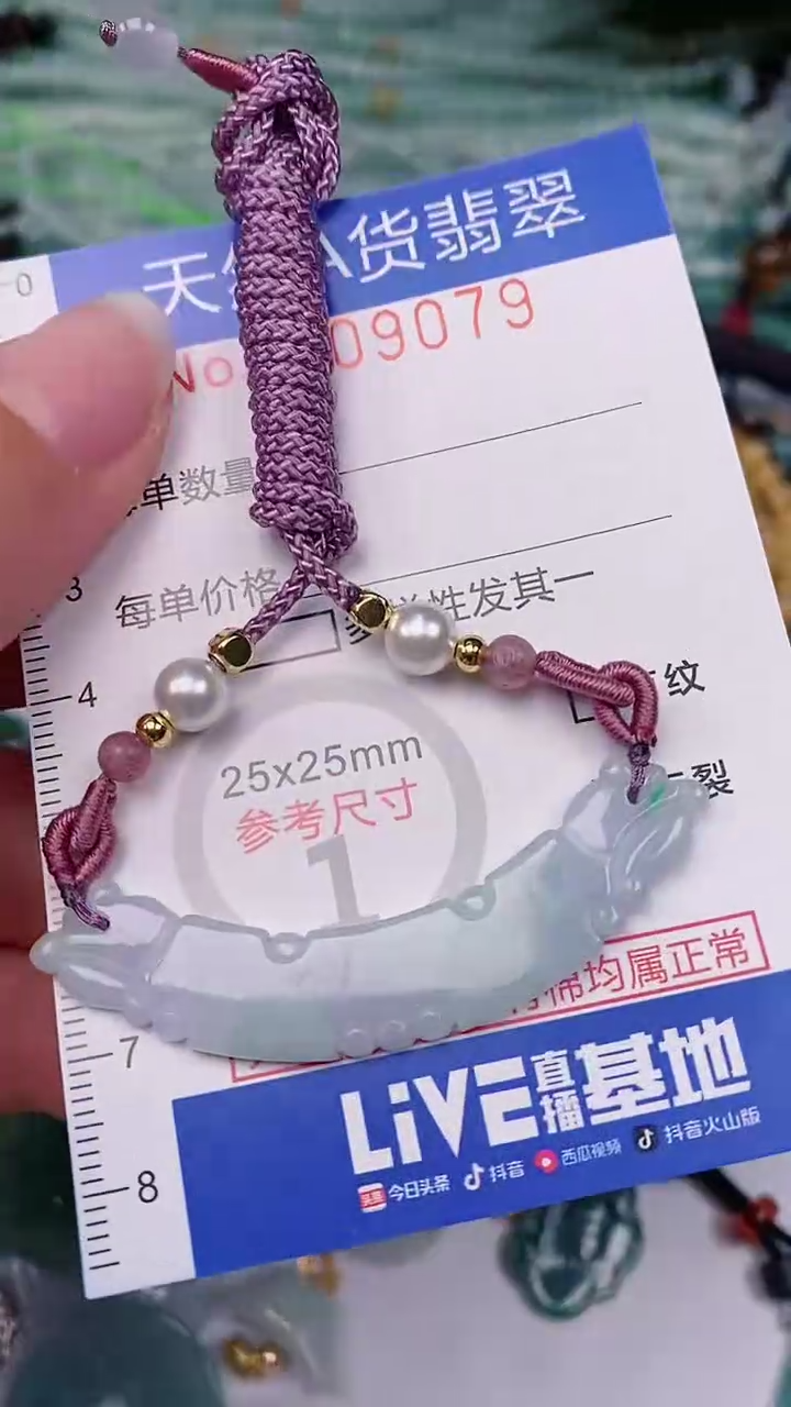 【闪购商品】翡翠颈饰未镶嵌00009079