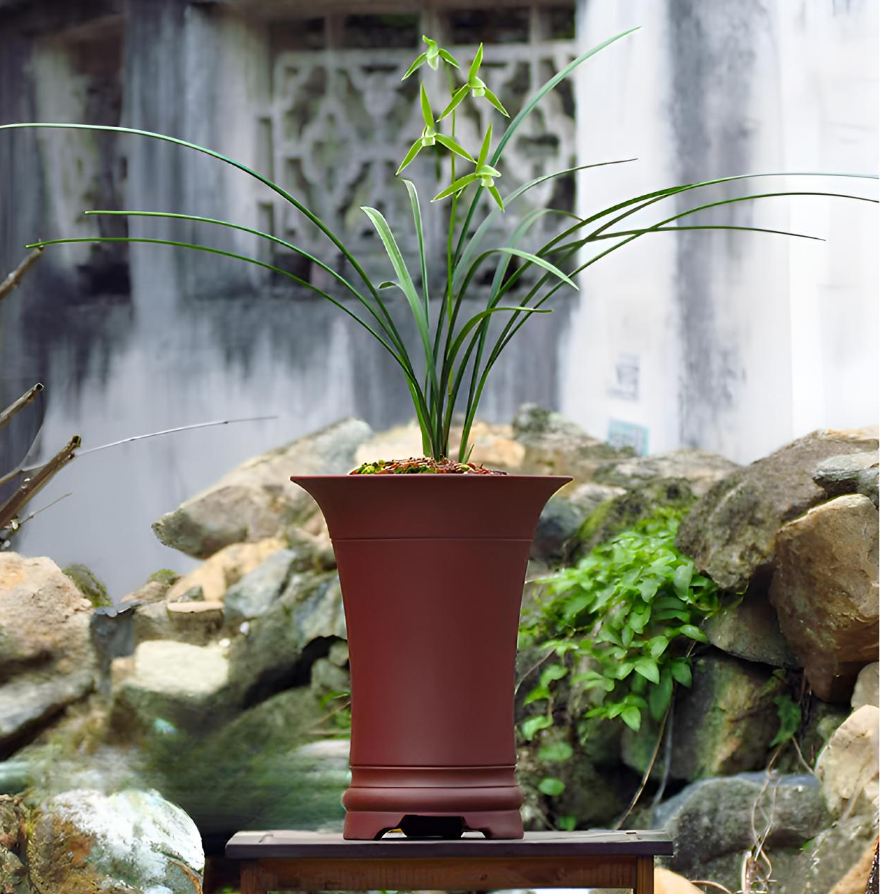 精品桌面紫砂兰花盆春兰建兰盆蕙兰寒兰莲瓣兰盆左面绿植盆