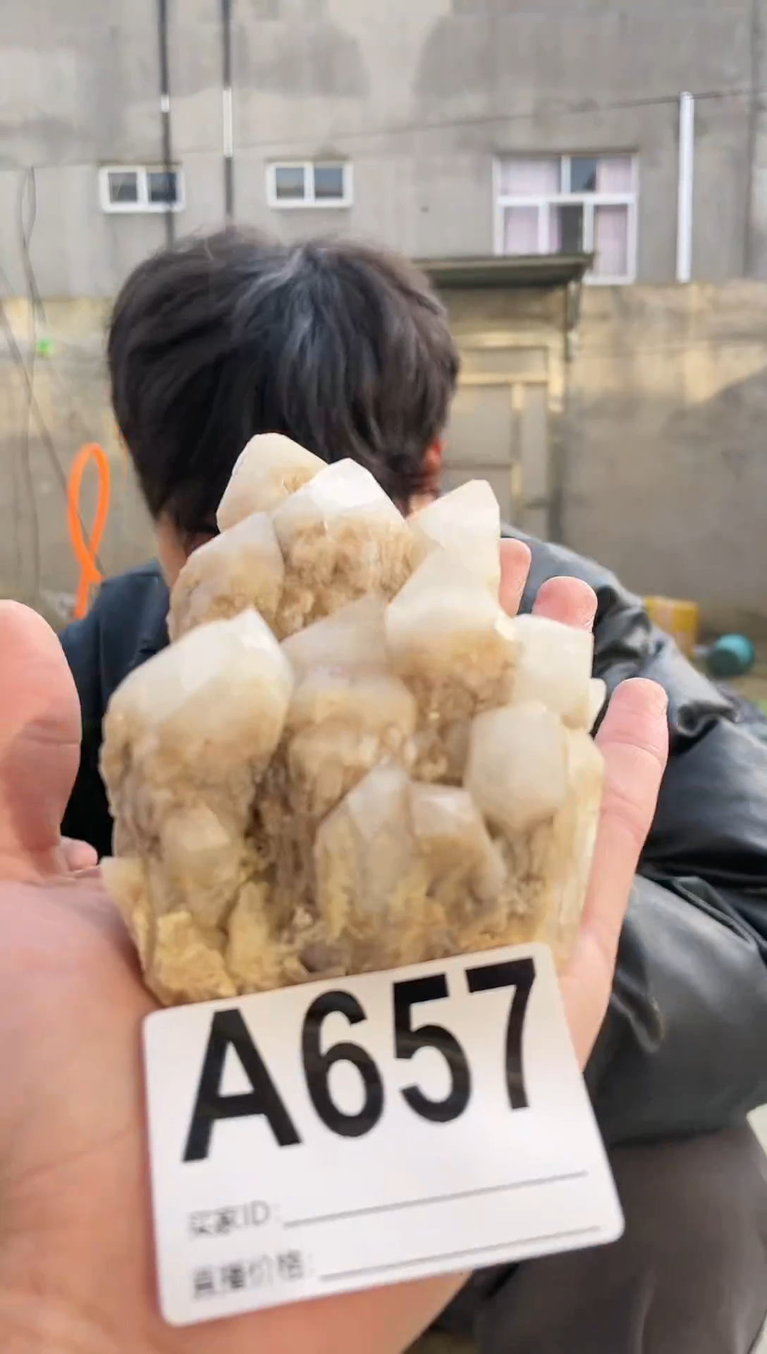 【闪购商品】水晶摆件未镶嵌水晶  657