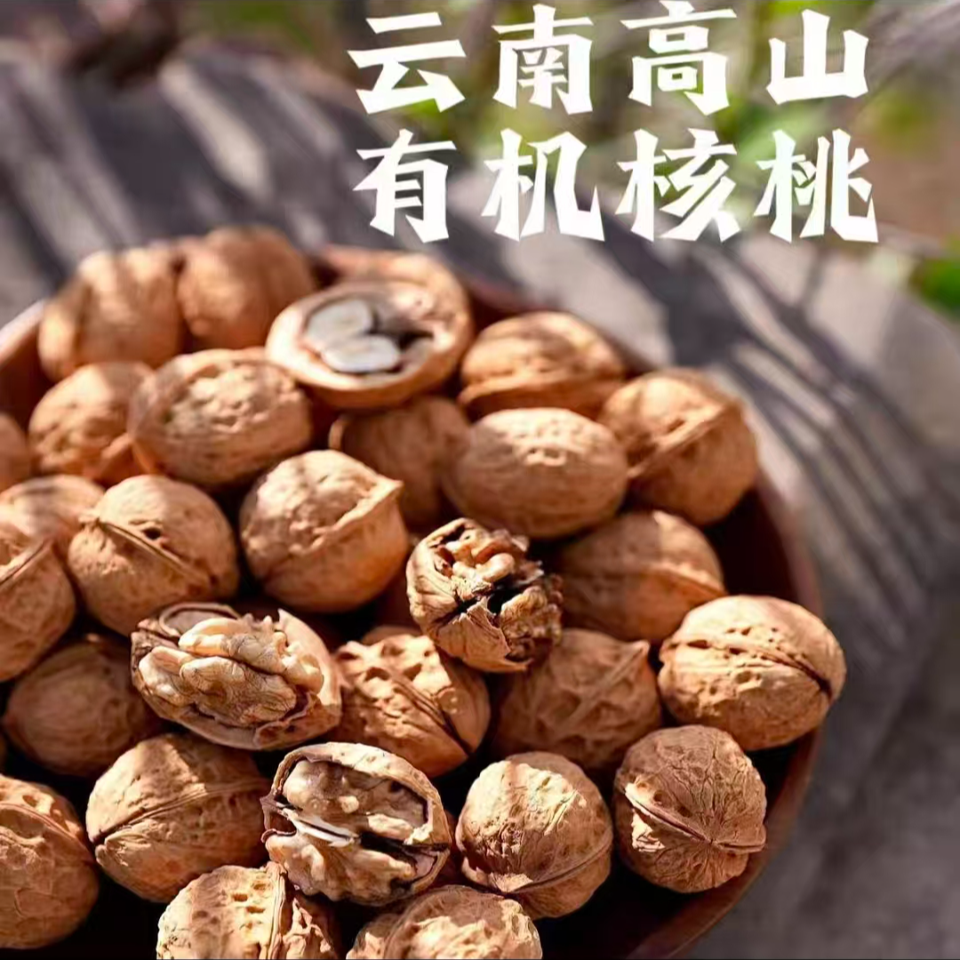 云南有机核桃原味带壳生核桃500g孕妇坚果