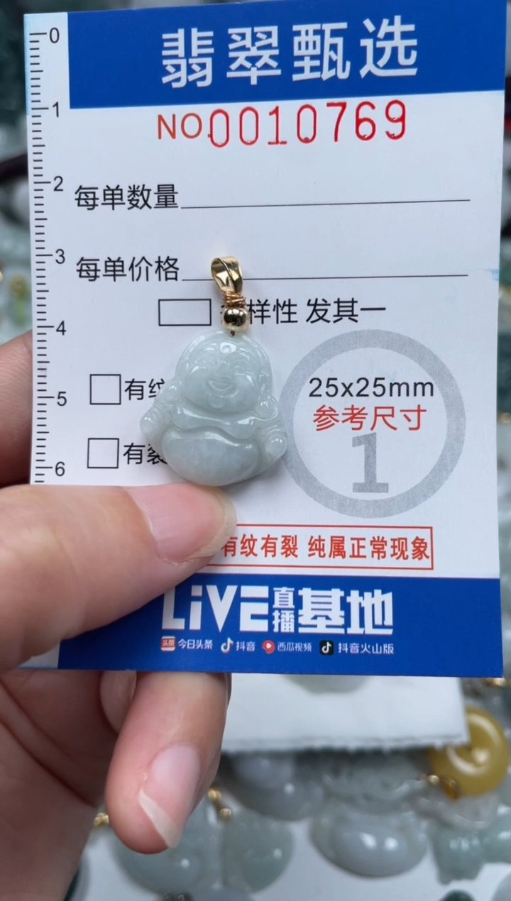 颈饰未镶嵌翡翠10769