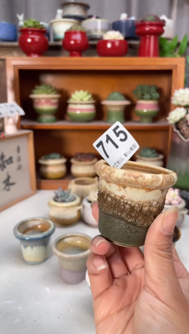 瓷片a****?715知木小芳花盆编号