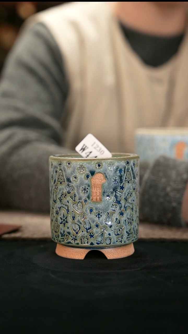 口径6花盆-12-30-442瑕