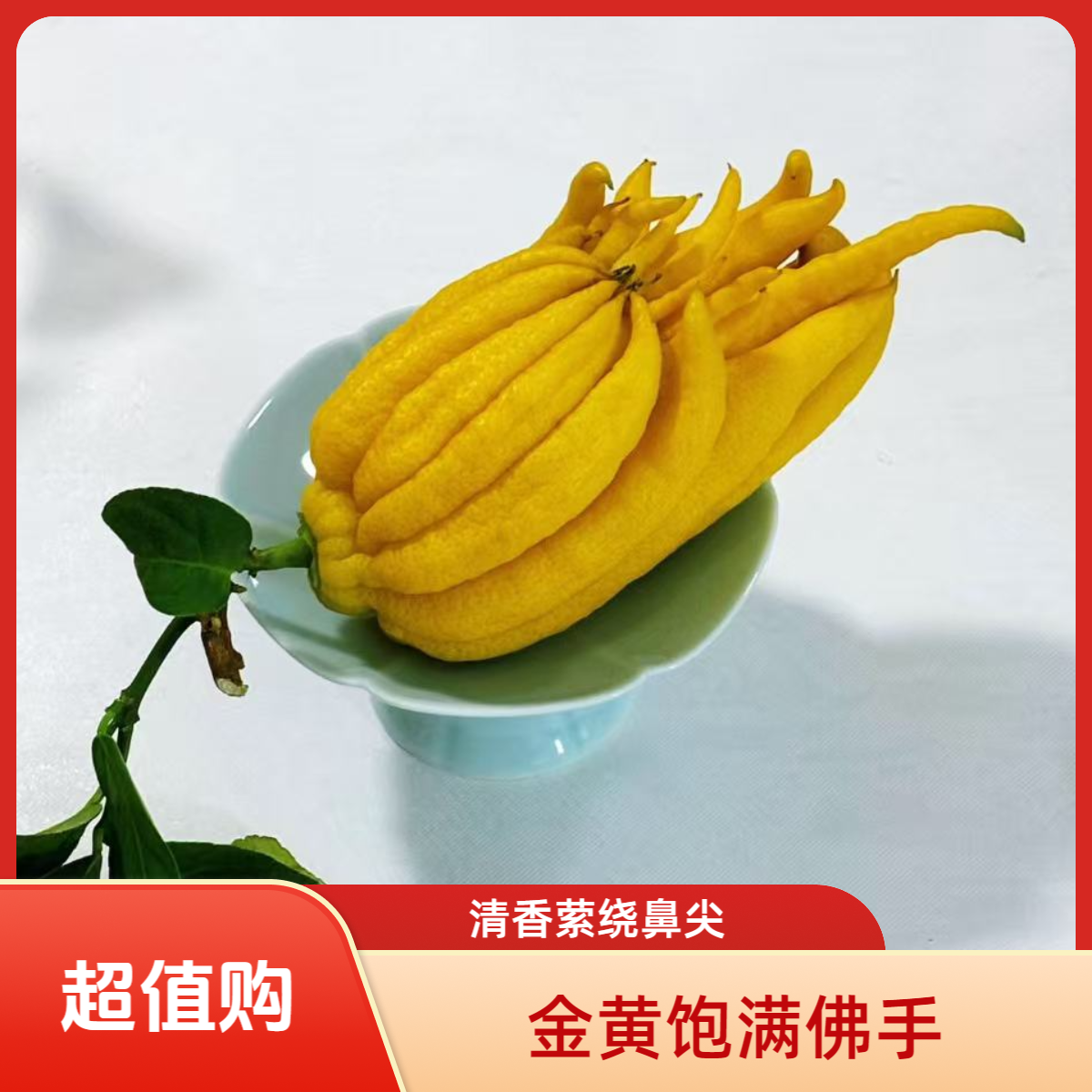 佛手柑鲜果水培带枝新鲜切枝室内观赏闻香清供绿植