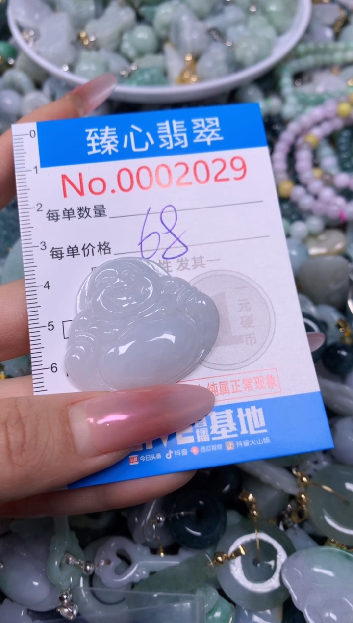 【闪购商品】翡翠颈饰未镶嵌含绳0002029
