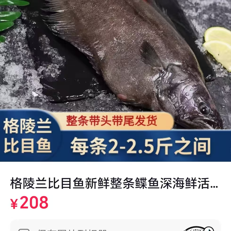 格陵兰比目鱼新鲜整条碟鱼深海鲜活冷冻 刺少肉嫩