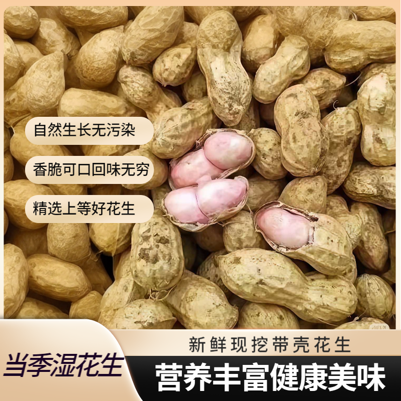 2025年新鲜现挖带壳带沙粉皮湿花生可水煮生吃农家自种