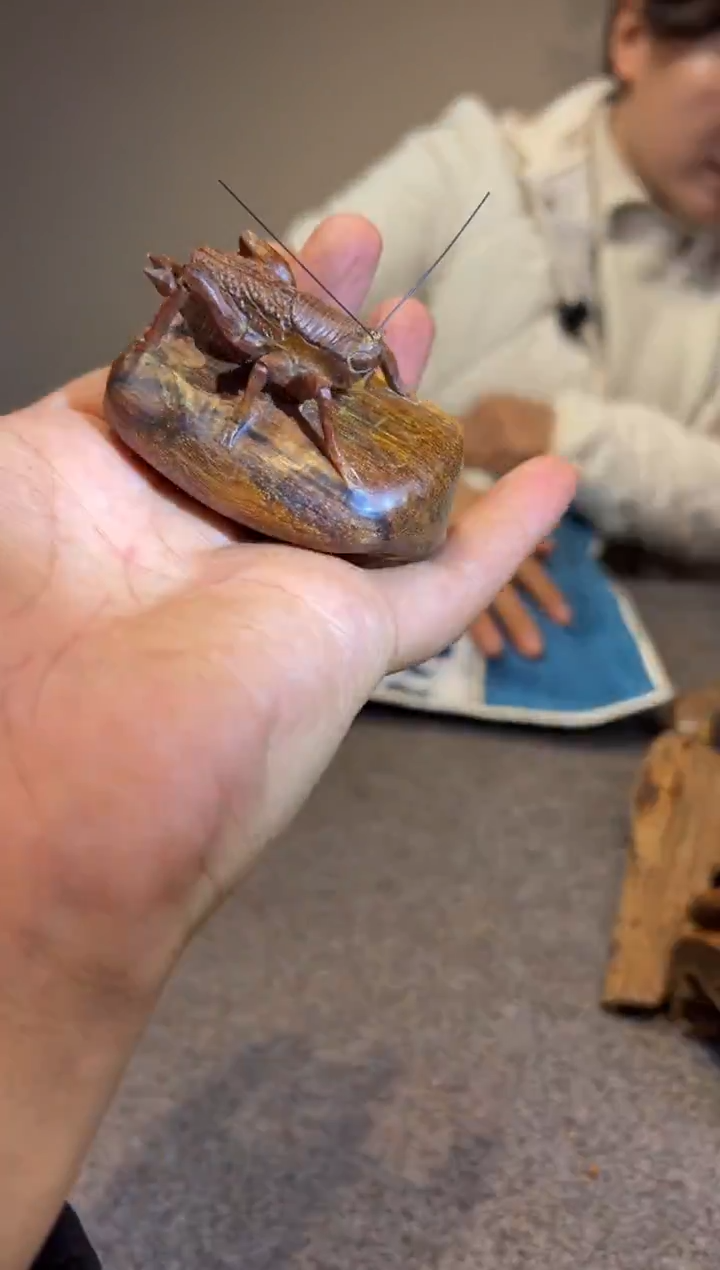 木流**逝贡木贡木贡木