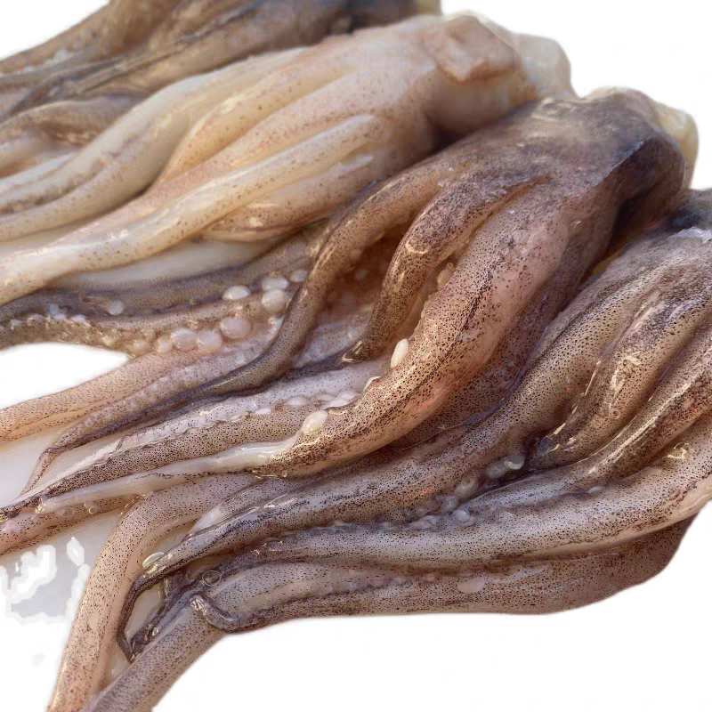 开片鱿鱼头 约500g/份