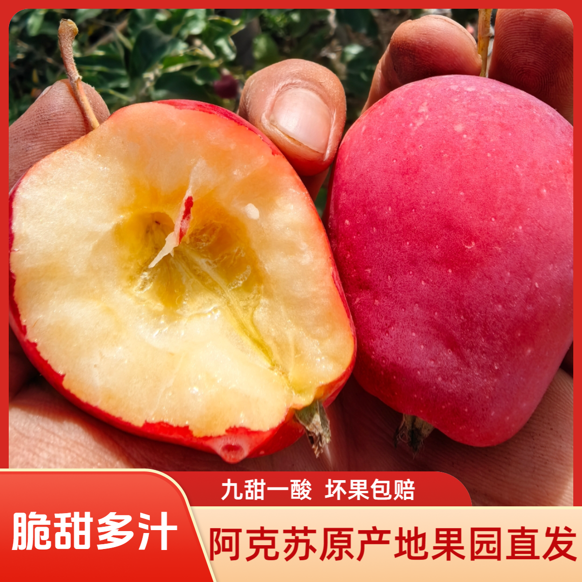 【产地直发】阿克苏香妃海棠鸡心小苹果脆甜多汁包邮