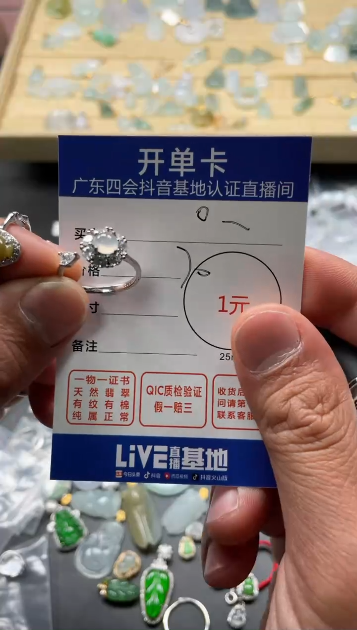 颈饰未镶嵌翡翠O***n挂件