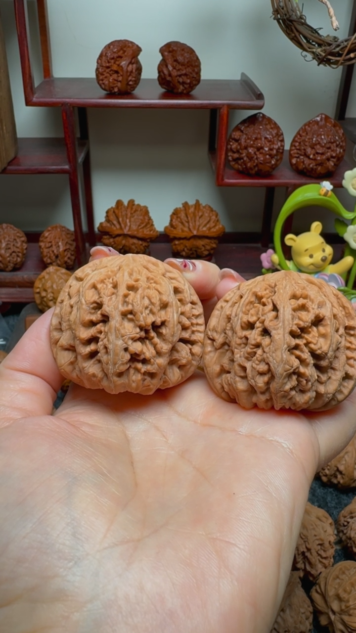 【闪购商品】文玩核桃把件大粗筋47尺寸货头