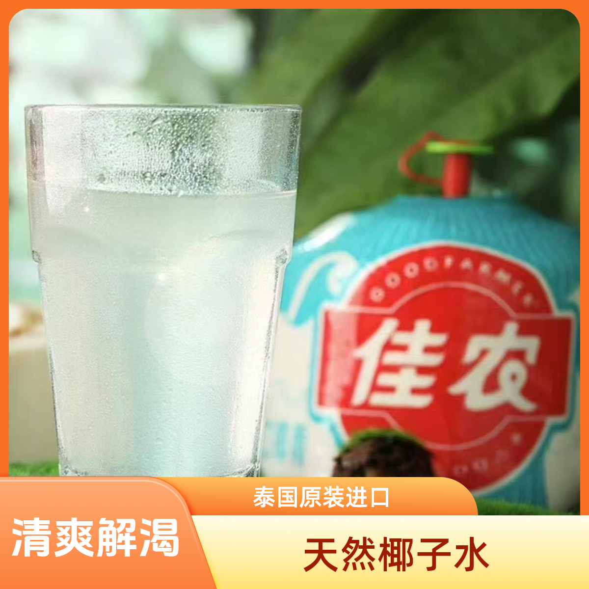 【京东次日达】佳农拍拍椰椰子水新疆维吾尔自治区