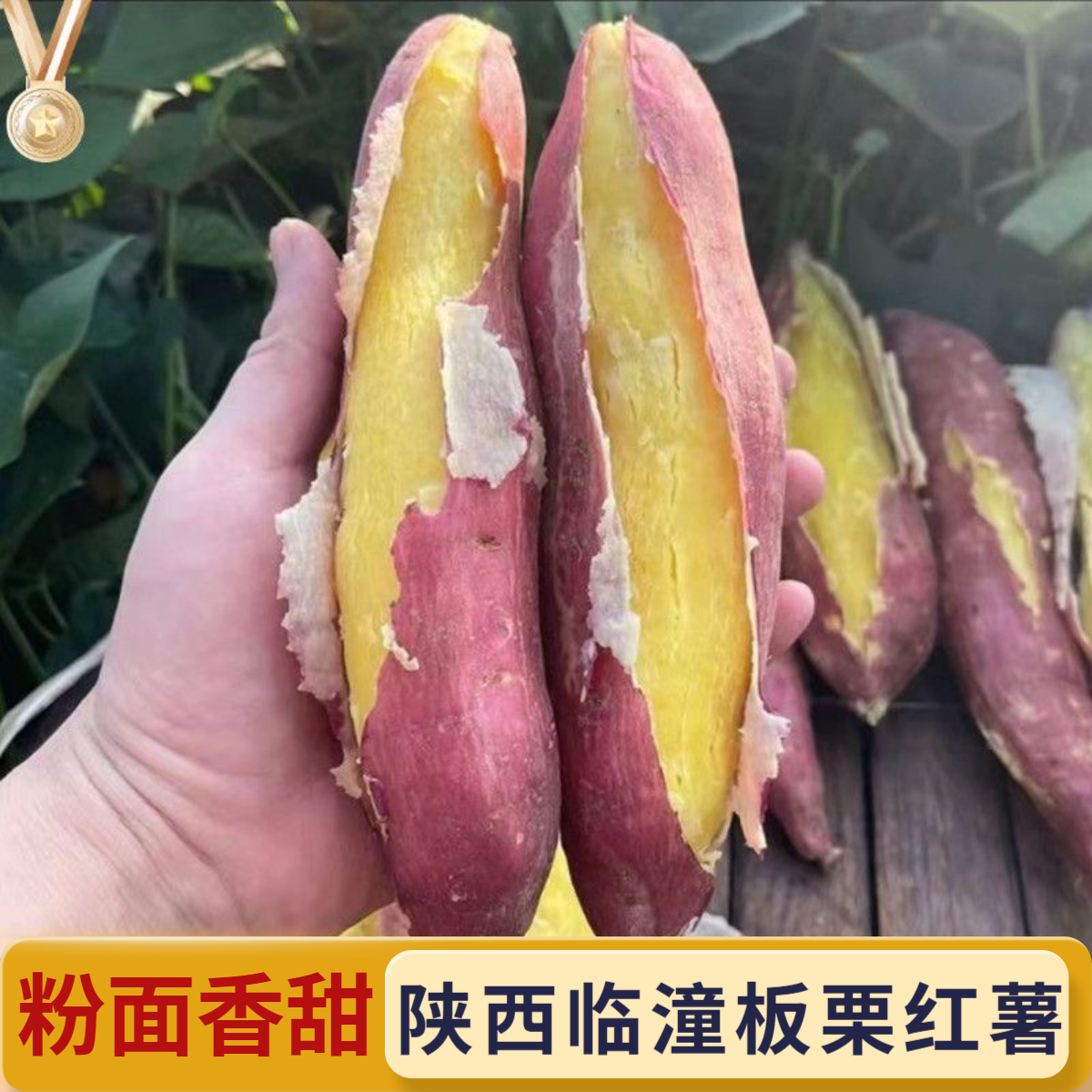 陕西临潼板栗红薯新鲜番薯粉糯香甜现挖红署红苕当季新鲜地瓜番薯