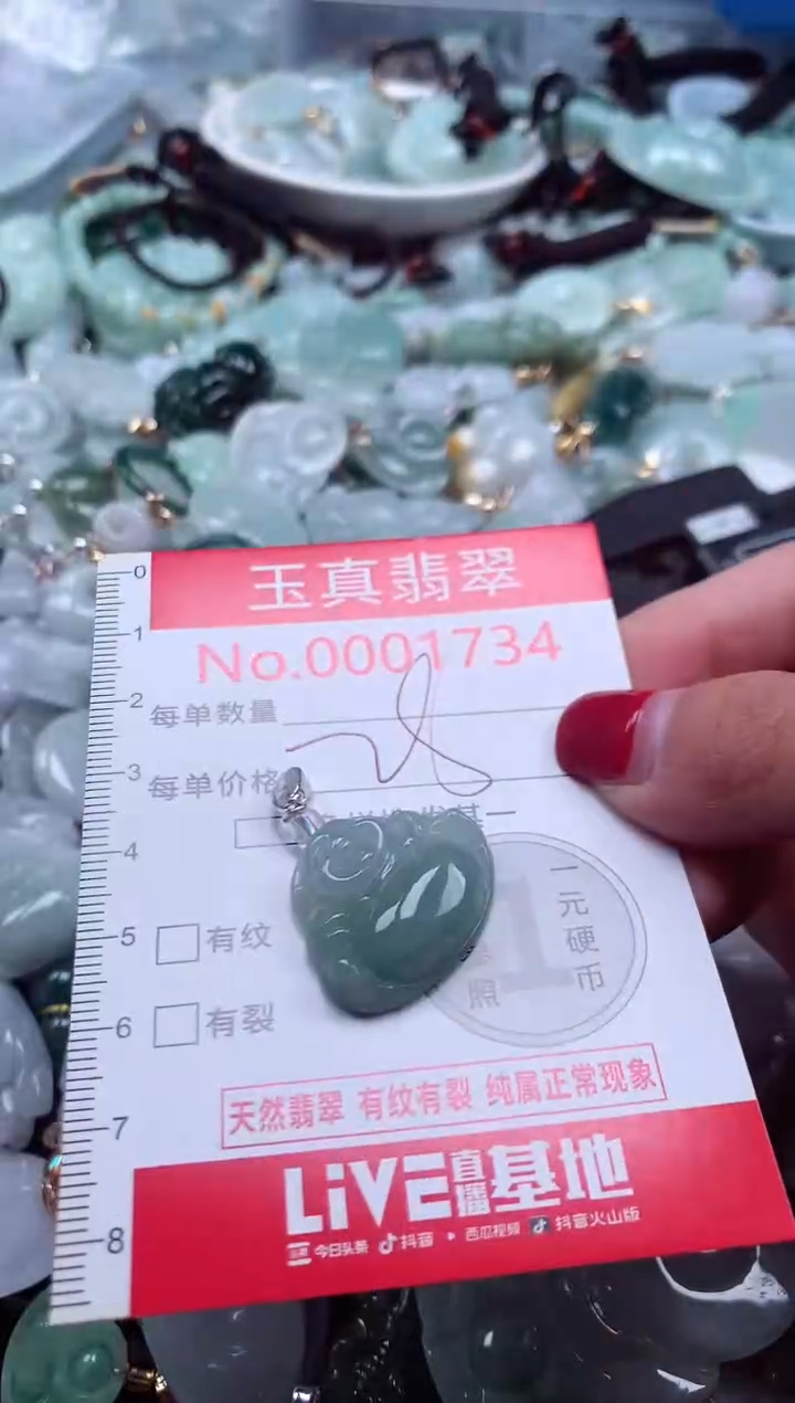 颈饰未镶嵌翡翠1734
