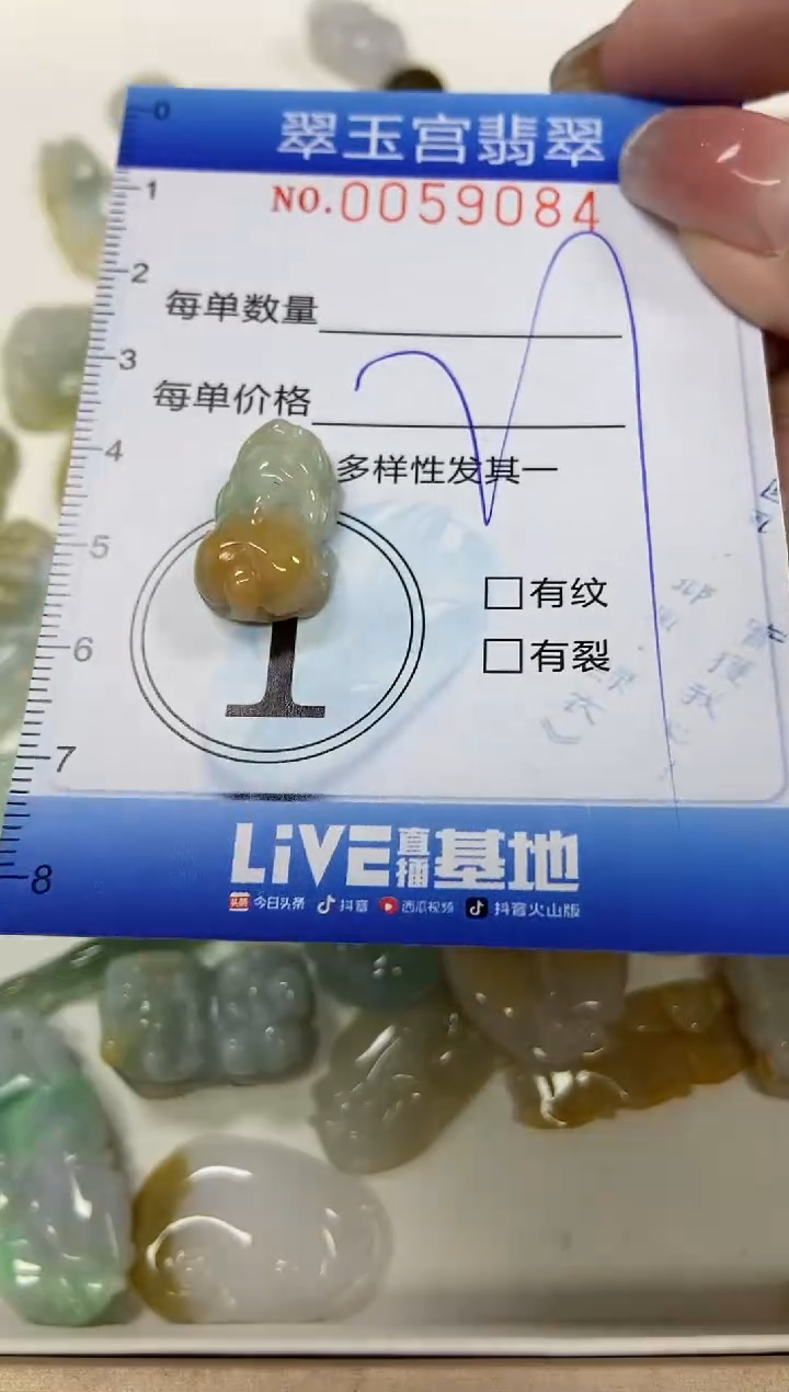 【闪购商品】翡翠颈饰未镶嵌闪购0059084