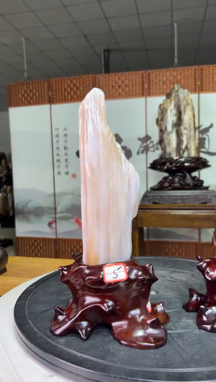 未镶嵌珠宝奇石硅化玉10