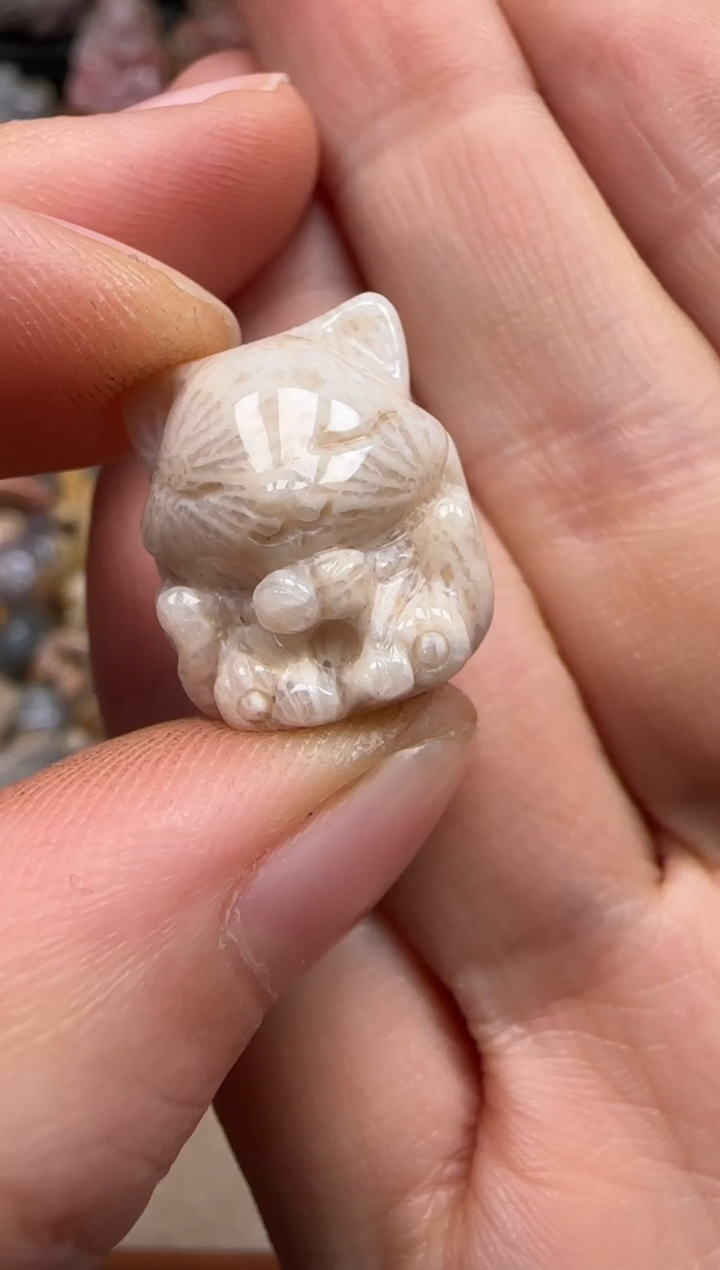 【闪购商品】硅化珊瑚（珊瑚玉）颈饰未镶嵌031