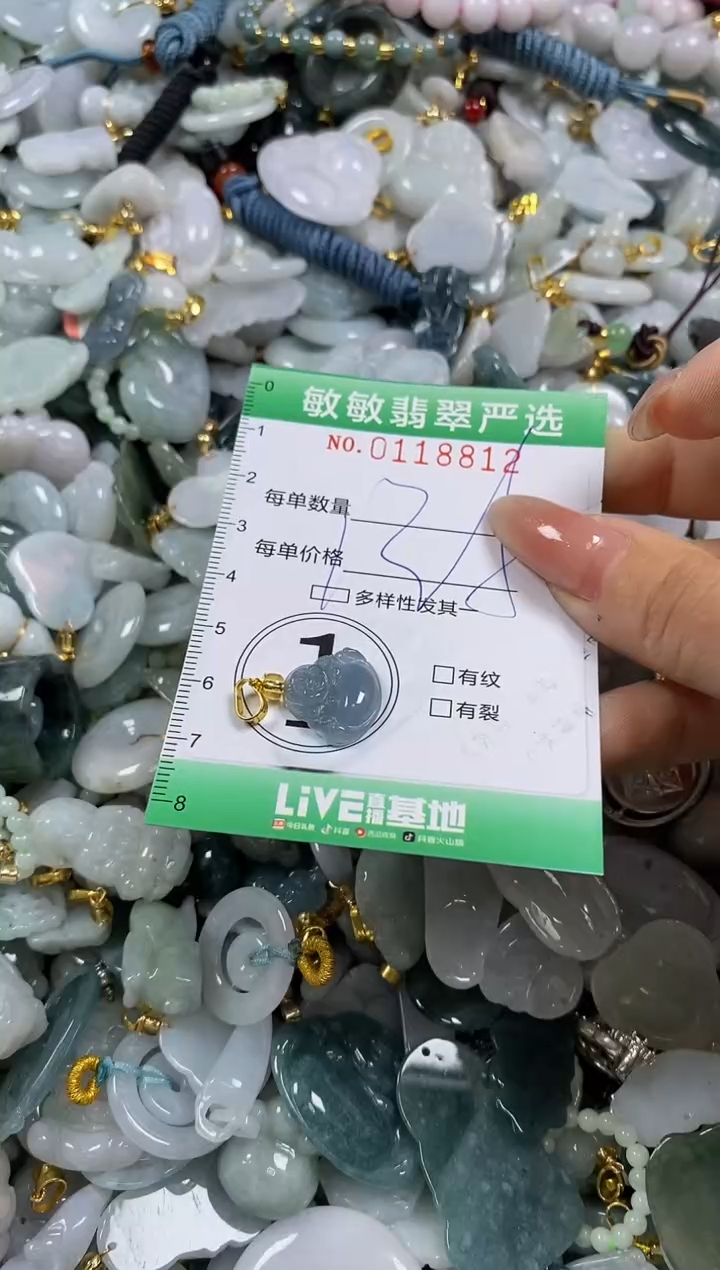 【闪购商品】翡翠颈饰未镶嵌闪购0118812