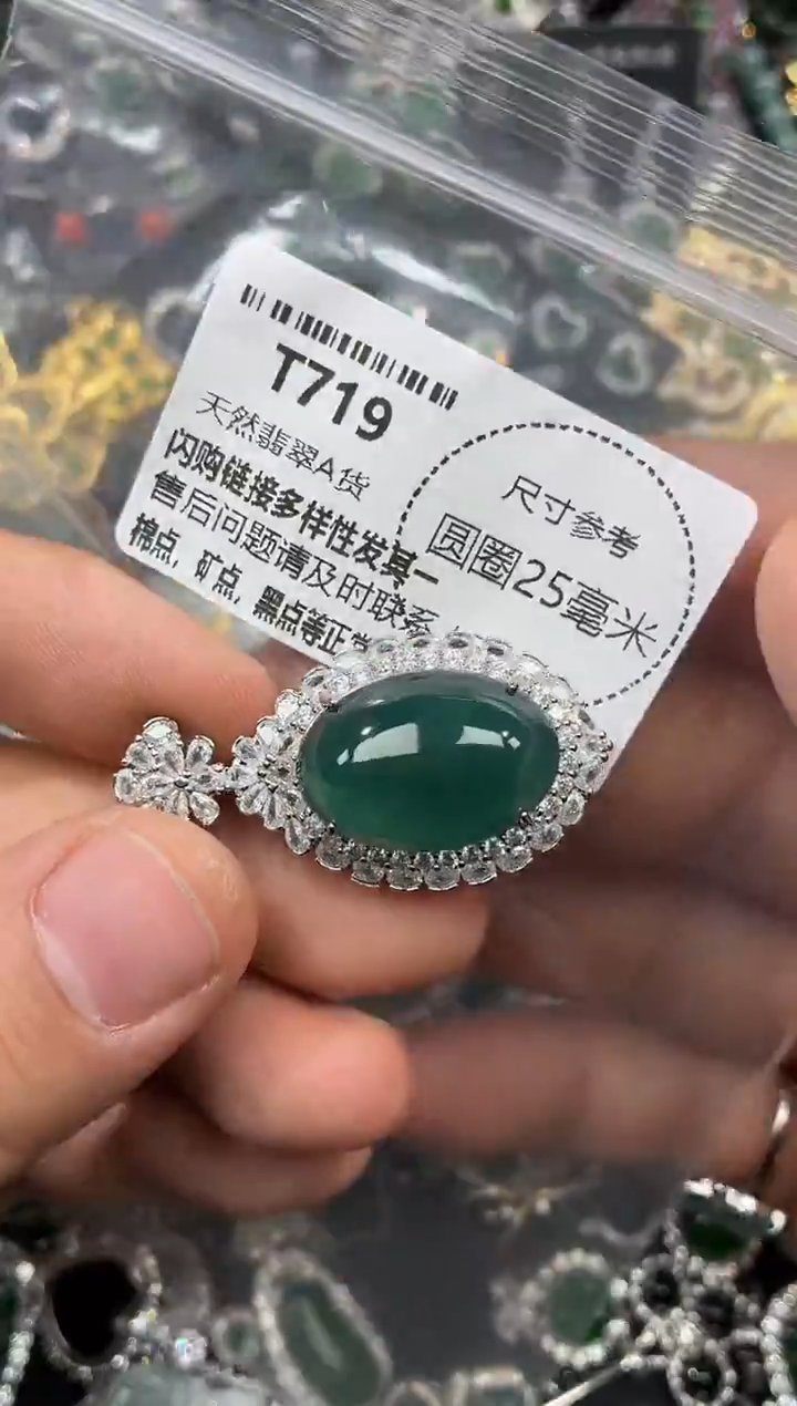 颈饰未镶嵌翡翠T719吊坠