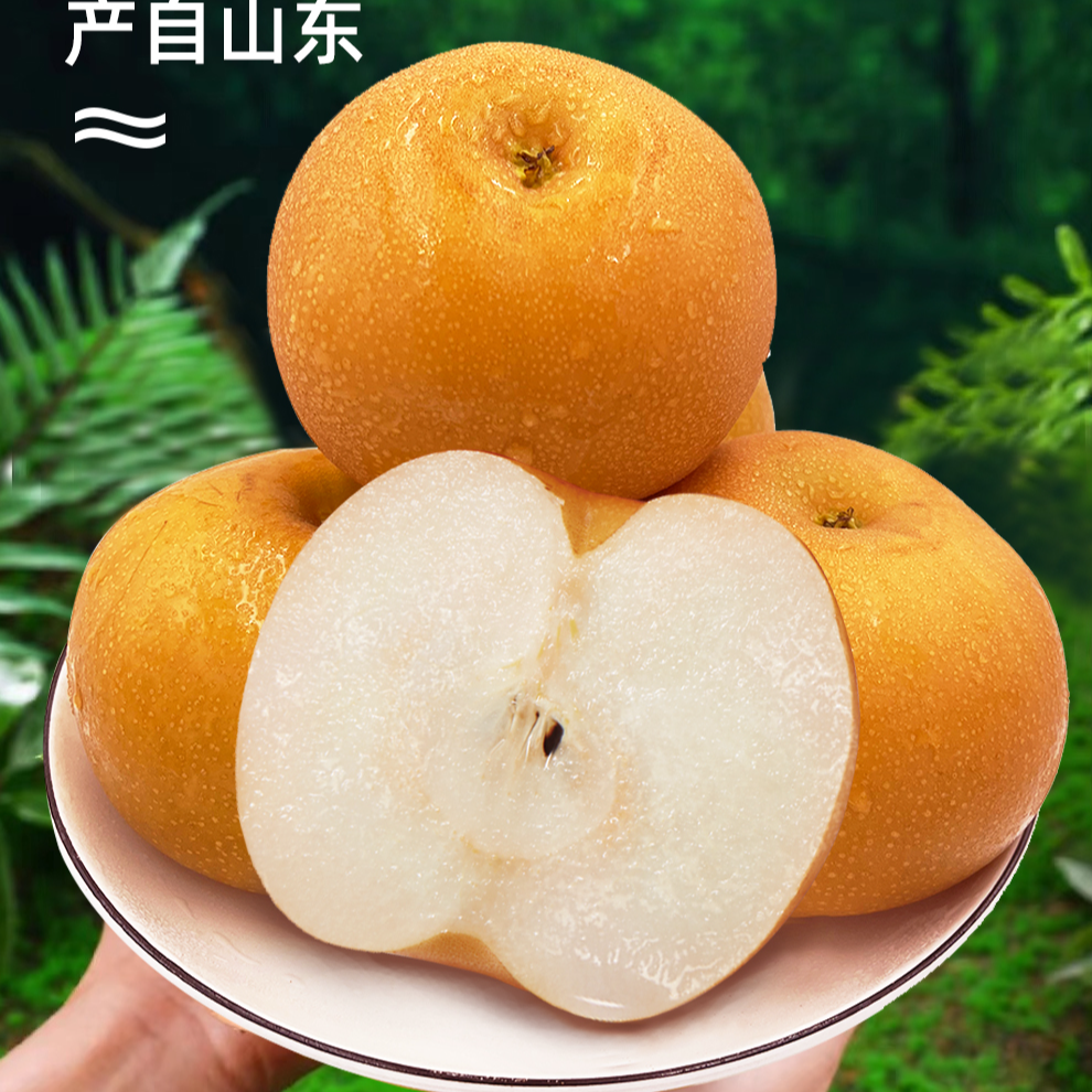 【洲洲专属】山东烟台秋月梨新鲜现摘当季水果脆甜多汁皮薄肉厚