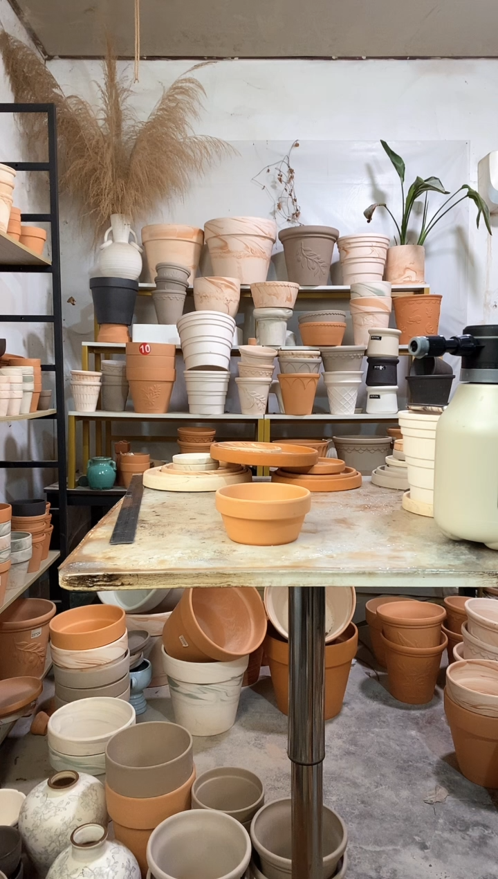 12*6红陶矮盆 6盆无托