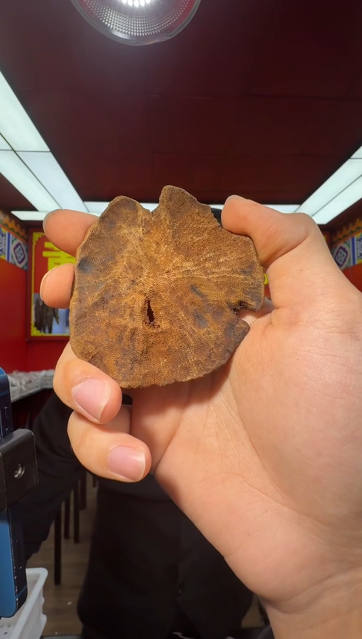 沉香吊坠t20海南红土包头多样性发一