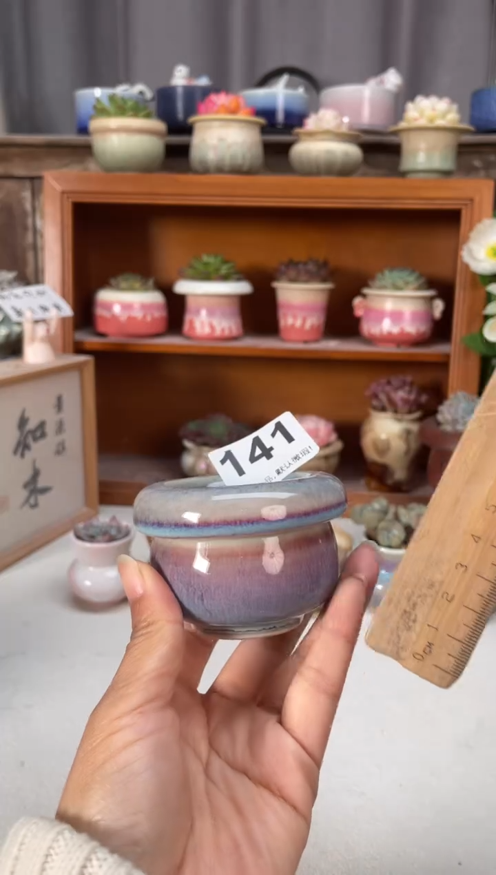 瓷片141知木小芳花盆编号