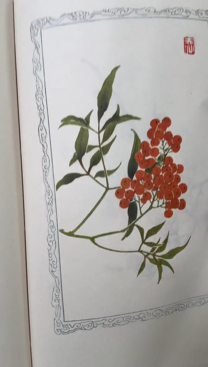 书法木****g百花 shuji