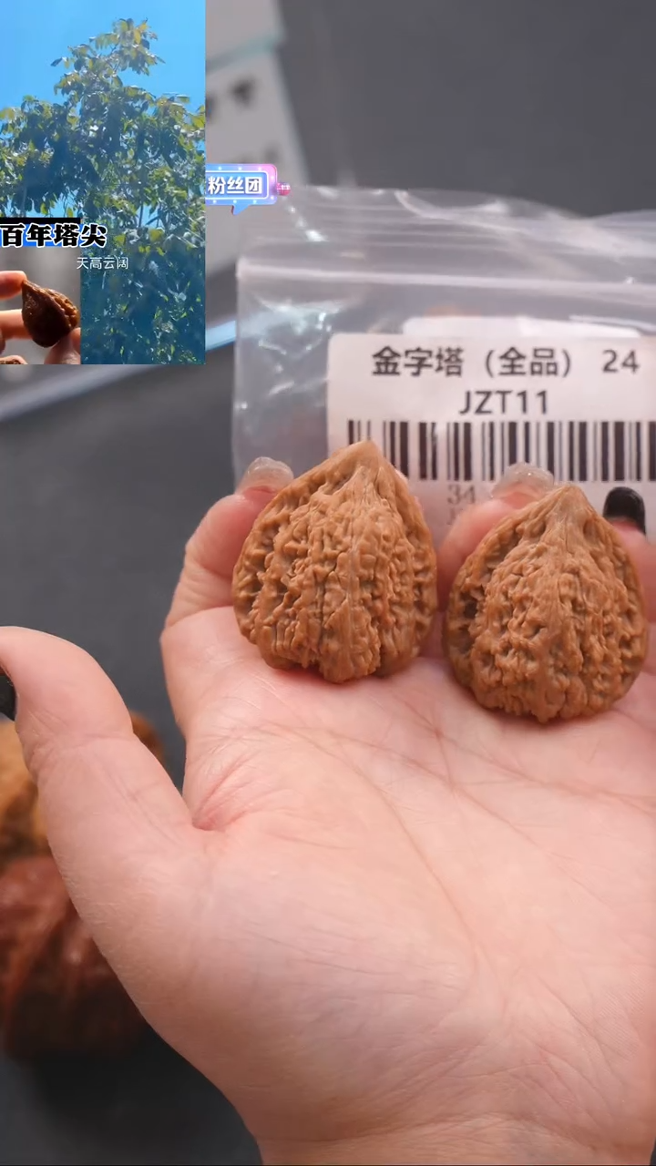 【闪购商品】文玩核桃吊坠34蚂蚁王金字塔（全品）