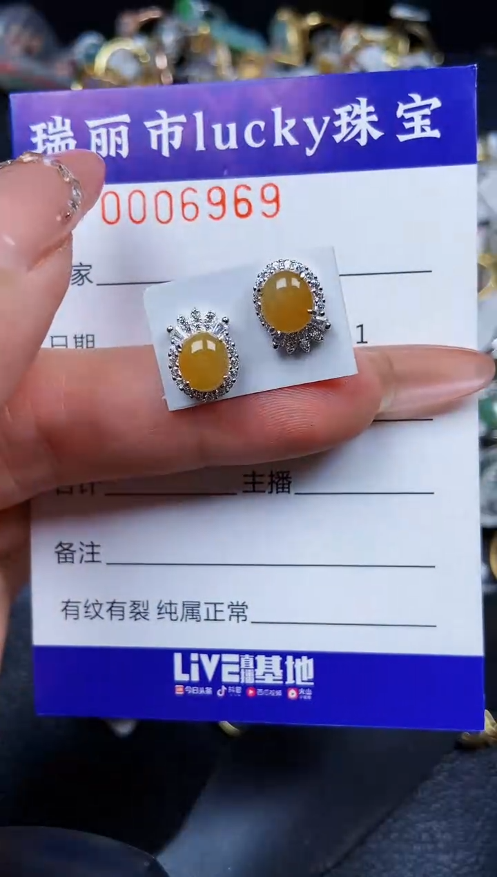 翡翠银S925镶嵌颈饰6969