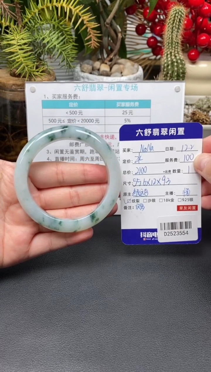 未镶嵌手镯翡翠N**aD2523554
