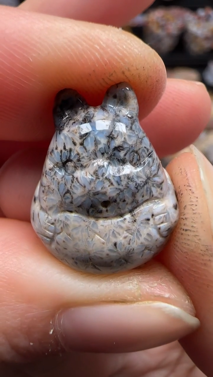 【闪购商品】硅化珊瑚（珊瑚玉）颈饰未镶嵌050