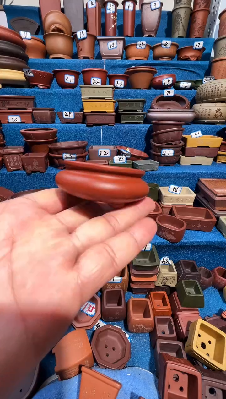 【闪购商品】紫砂紫砂花盆5.5*2.5