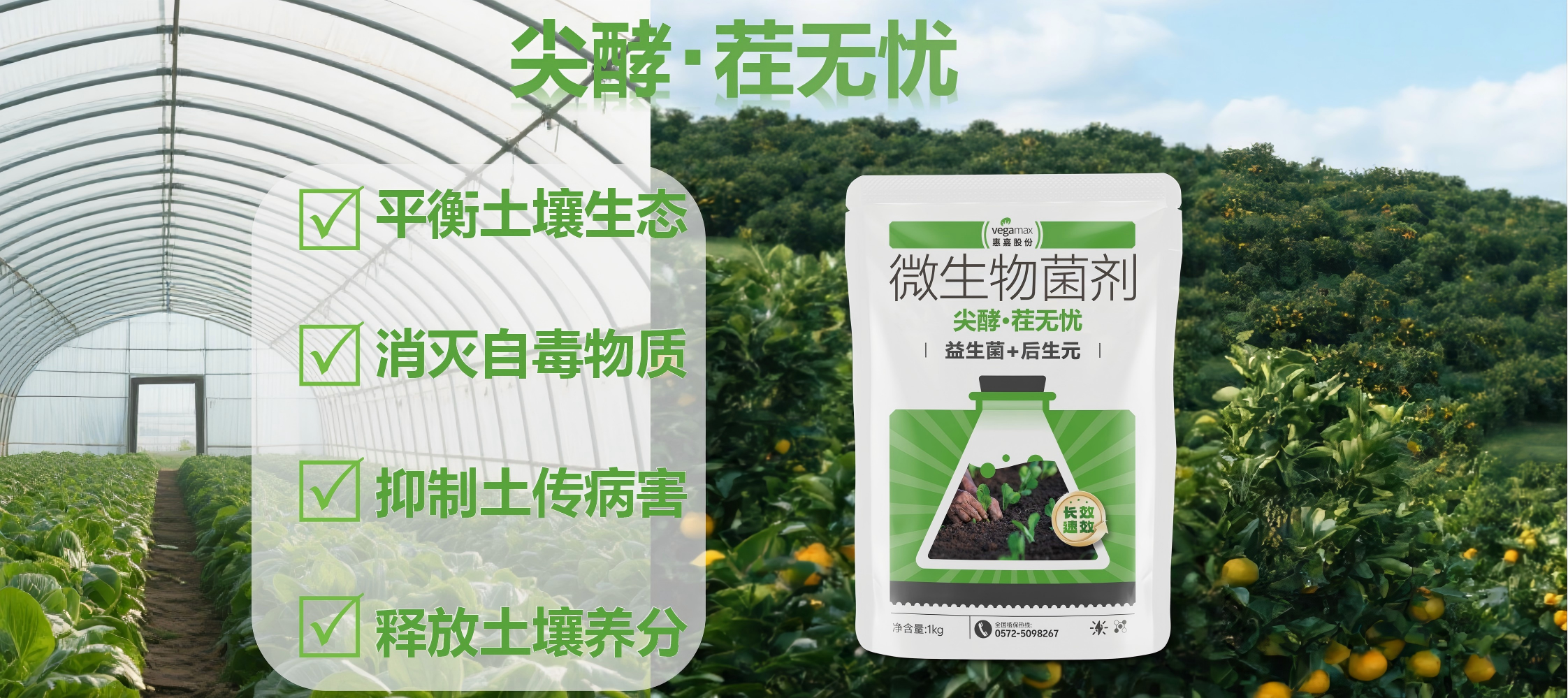 尖酵·茬无忧  连作障碍克星